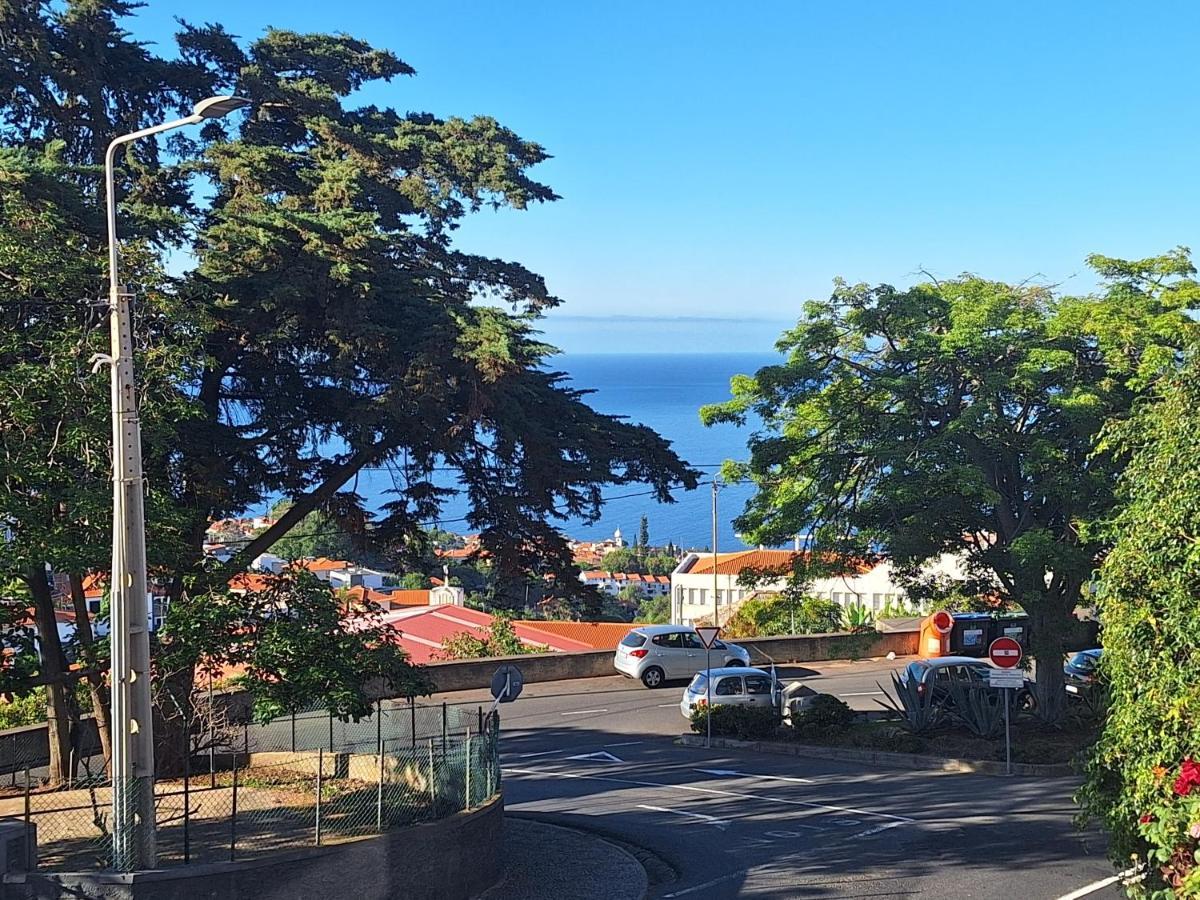 Funchal Apartments - New Botanic Garden Petit Studios Ngoại thất bức ảnh